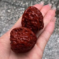 Chinese Wenwan walnuts